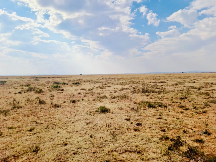 Commercial Property for Sale in Edenburg Free State